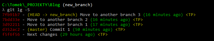 git log new_branch move to another branch