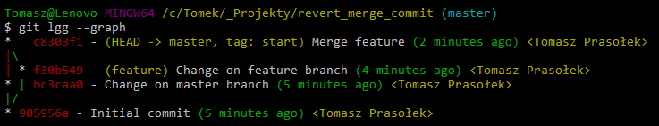 git log